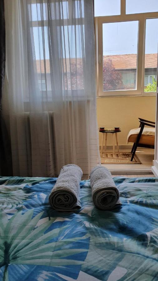 Appartement Apartament Estera à Oradea Extérieur photo